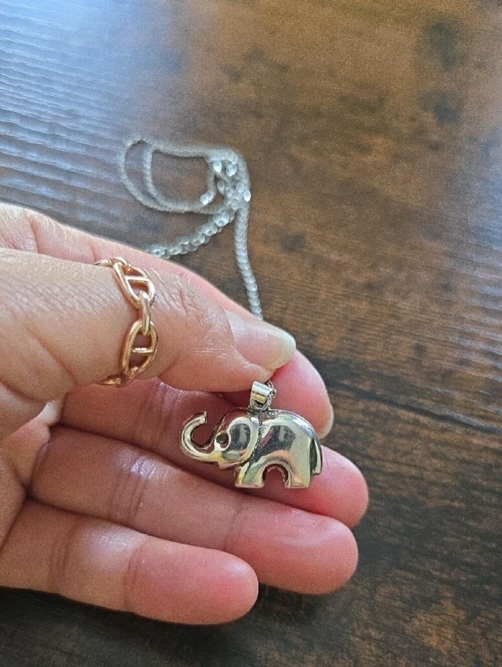 Sterling Silver Elephant Pendant Necklace - Silver